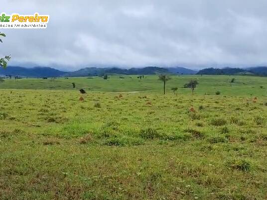 #3382 - Fazenda para Venda em Rondolândia - MT - 2
