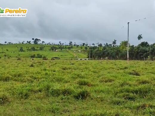 #3382 - Fazenda para Venda em Rondolândia - MT - 1