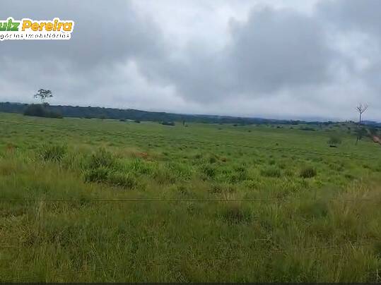 #3382 - Fazenda para Venda em Rondolândia - MT - 1
