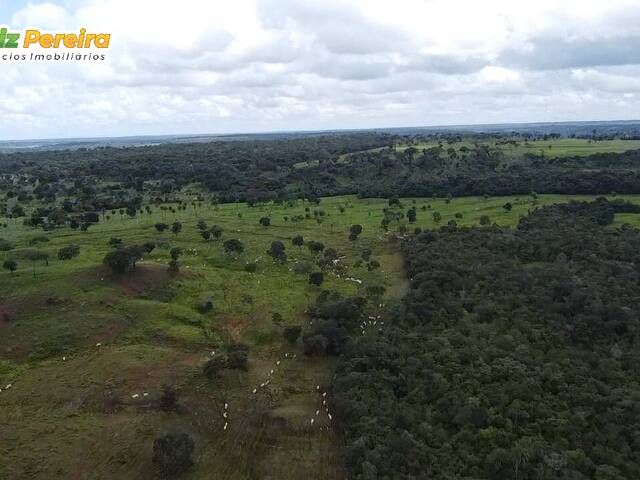 #3383 - Fazenda para Venda em Tocantinópolis - TO - 2