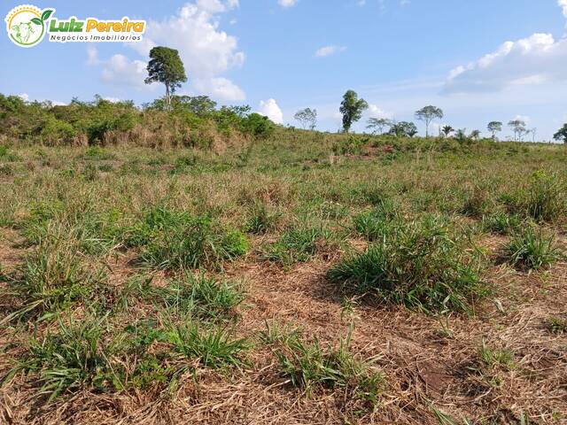 #3383 - Fazenda para Venda em Tocantinópolis - TO - 3