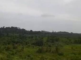  para  em  - 5