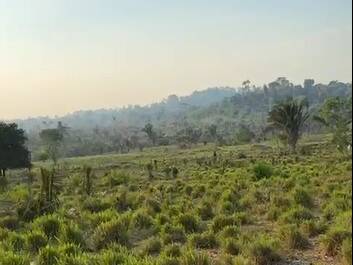 #3384 - Fazenda para Venda em Portel - PA - 1