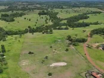 Fazenda para Venda em Miranda - 5