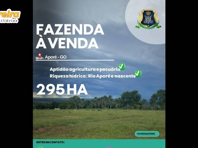 #3386 - Fazenda para Venda em Aporé - GO - 1
