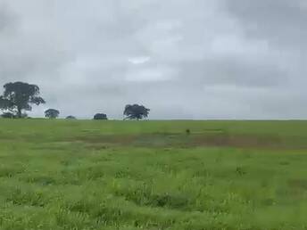 #3386 - Fazenda para Venda em Aporé - GO - 1