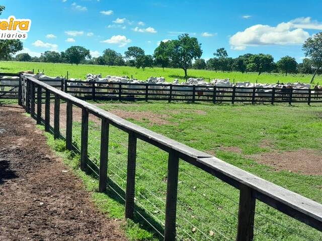 #3388 - Fazenda para Venda em Arraias - TO - 3