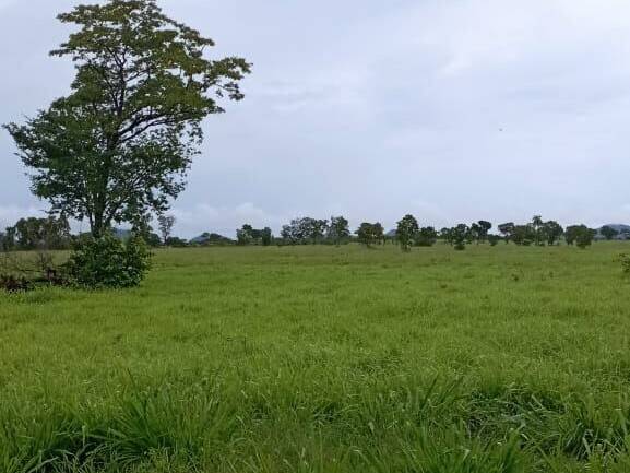 Fazenda para Venda em Arraias - 5