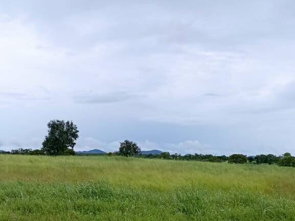 Fazenda para Venda em Arraias - 4