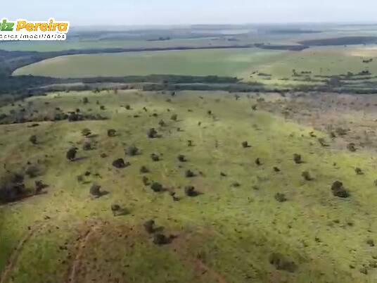 #3387 - Fazenda para Venda em Iguatemi - MS - 3