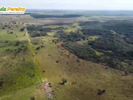 #3387 - Fazenda para Venda em Iguatemi - MS - 1