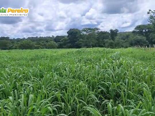 #3389 - Fazenda para Venda em Dueré - TO - 3