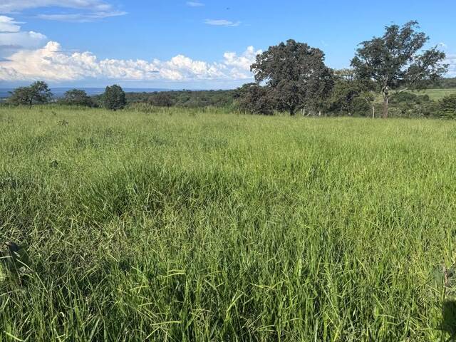 #3390 - Fazenda para Venda em Cassilândia - MS - 3
