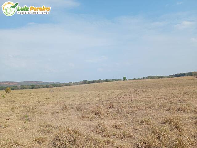 #3392 - Fazenda para Venda em Pedro Gomes - MS - 1