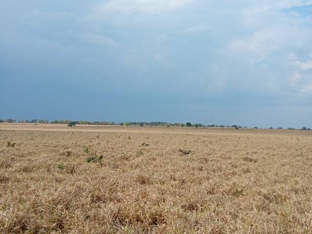 Fazenda para Venda em Pedro Gomes - 4