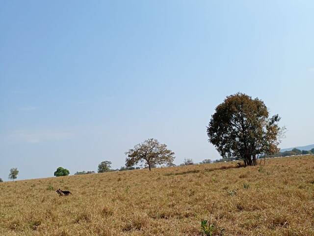 #3392 - Fazenda para Venda em Pedro Gomes - MS - 3