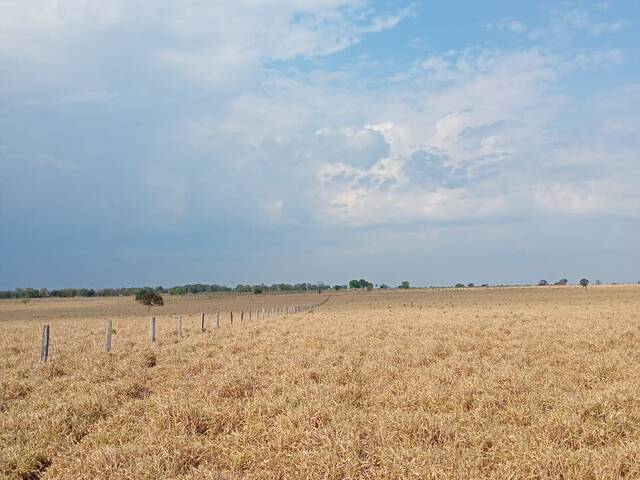 #3392 - Fazenda para Venda em Pedro Gomes - MS - 2