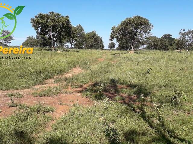 #1396 - Fazenda para Venda em Centenário - TO - 2