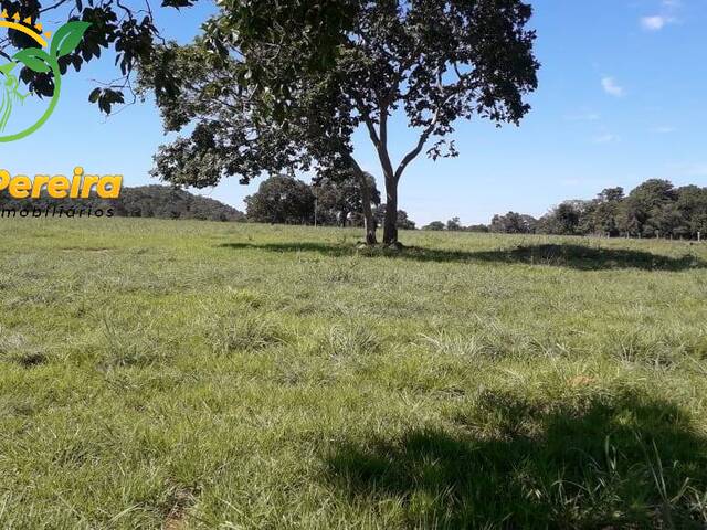 #1396 - Fazenda para Venda em Centenário - TO