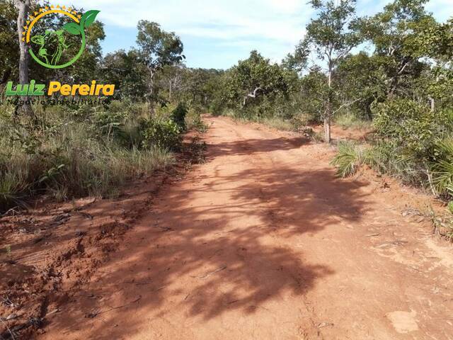 #1396 - Fazenda para Venda em Centenário - TO - 3