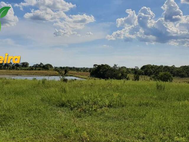 Fazenda para Venda em Centenário - 4