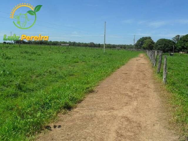 #57 - Fazenda para Venda em Alvorada - TO - 2