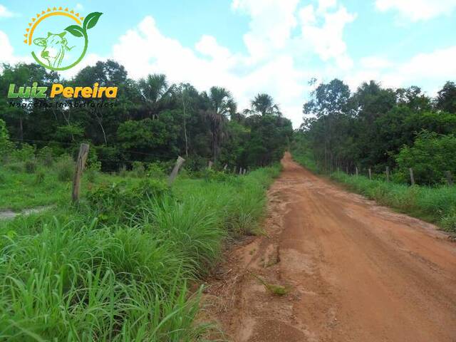 #57 - Fazenda para Venda em Alvorada - TO - 1