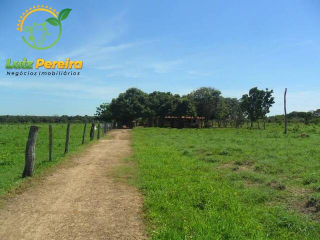 #57 - Fazenda para Venda em Alvorada - TO - 3