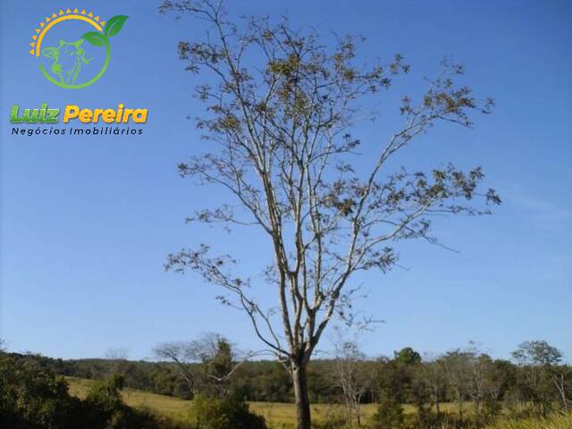 #360 - Fazenda para Venda em Nova Rosalândia - TO - 1