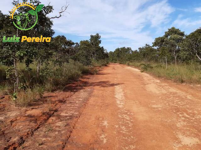 #1915 - Fazenda para Venda em Centenário - TO - 3