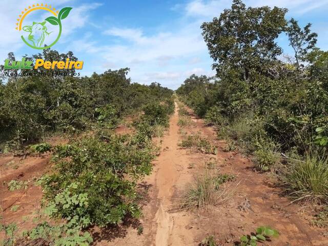 #1915 - Fazenda para Venda em Centenário - TO - 2