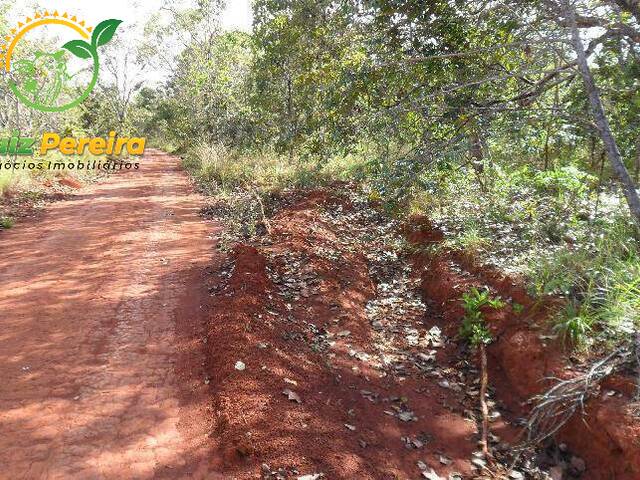 #4 - Fazenda para Venda em Peixe - TO - 3