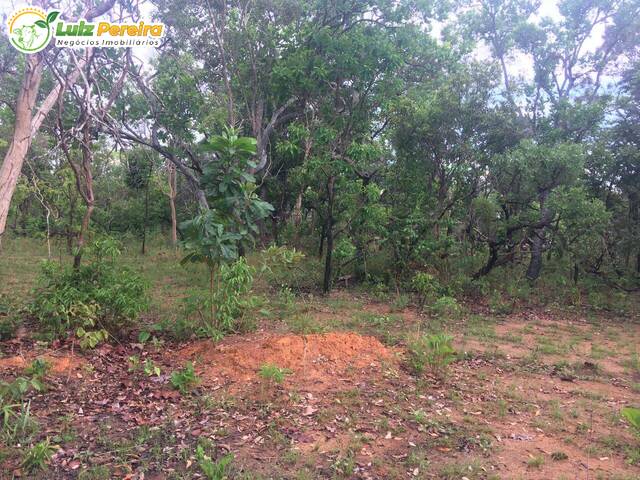 #2675 - Fazenda para Venda em São Valério da Natividade - TO - 3