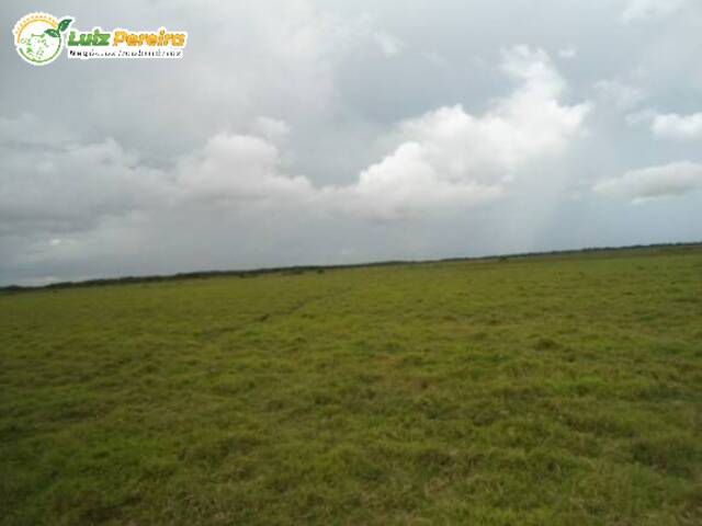 Fazenda para Venda em Cuiabá - 4