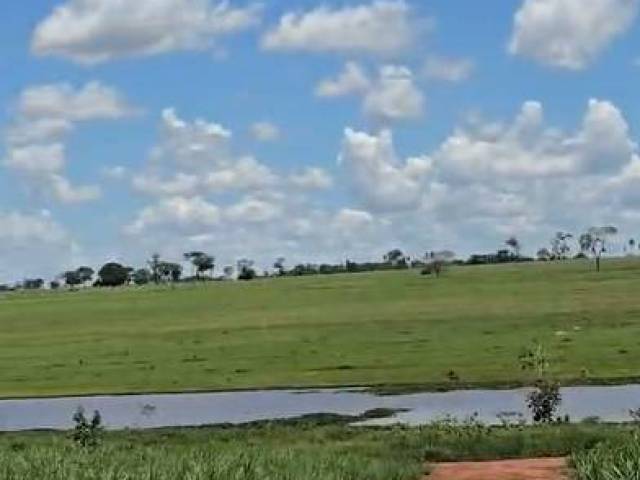 #3202 - Fazenda para Venda em Carneirinho - MG - 1