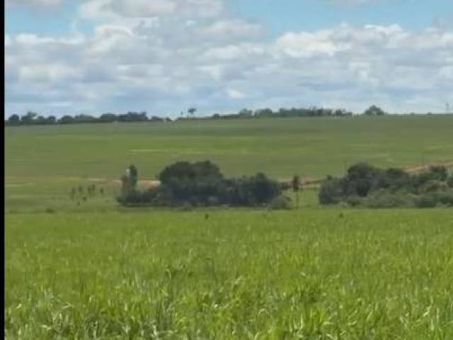 Fazenda para Venda em Carneirinho - 4