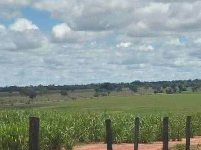 Fazenda para Venda em Carneirinho - 5