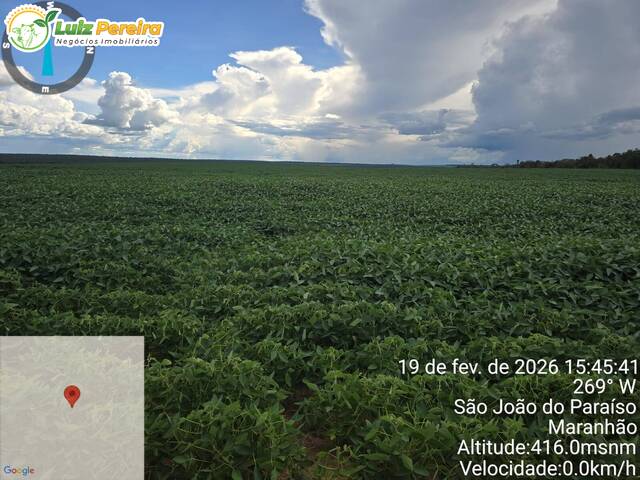 Fazenda para Venda em São João do Paraíso - 2