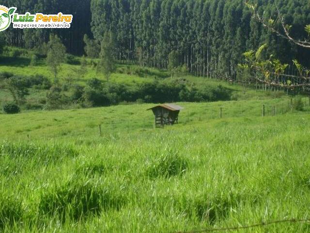 Sítio para Venda em Gália - 5