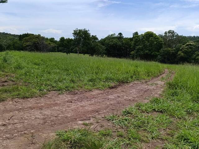#3368 - Fazenda para Venda em Dueré - TO