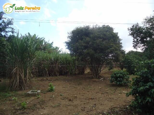 Sítio para Venda em Mogi das Cruzes - 4