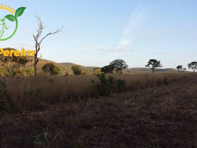 #523 - Fazenda para Venda em Monte do Carmo - TO - 2