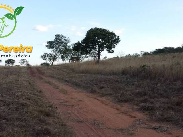 #523 - Fazenda para Venda em Monte do Carmo - TO - 3