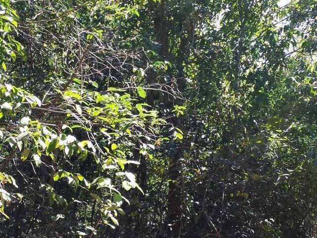 Fazenda para Venda em Monte do Carmo - 4