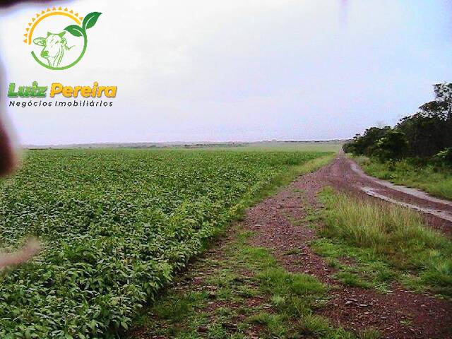 #171 - Fazenda para Venda em Santa Maria do Tocantins - TO - 1