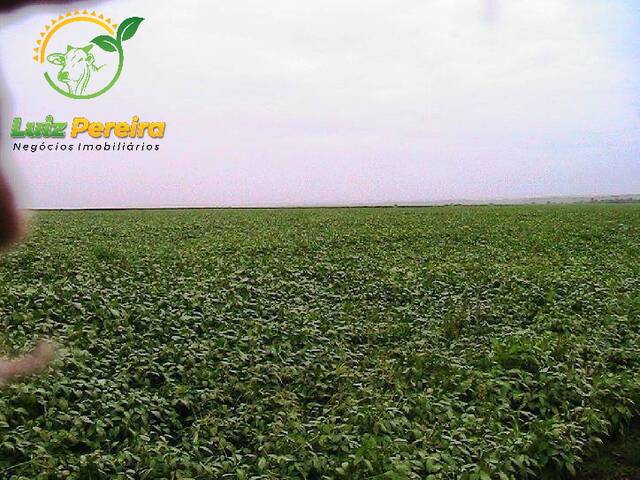 #171 - Fazenda para Venda em Santa Maria do Tocantins - TO - 3