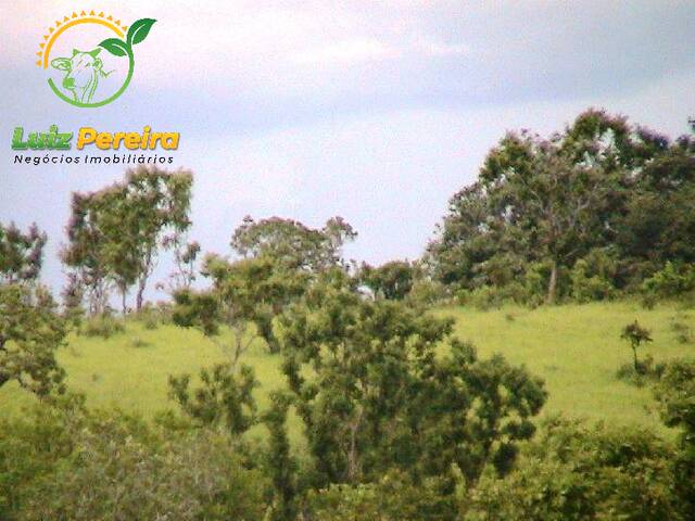 Fazenda para Venda em Santa Maria do Tocantins - 5