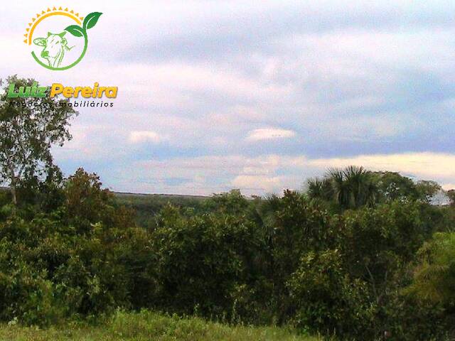#171 - Fazenda para Venda em Santa Maria do Tocantins - TO - 2