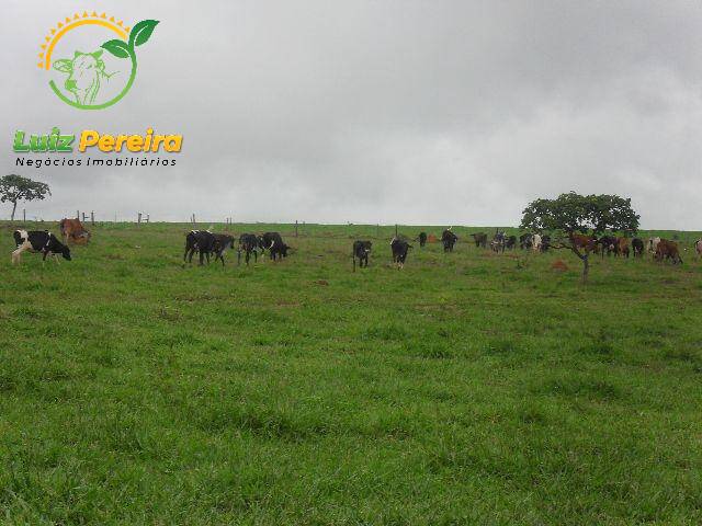 #547 - Fazenda para Venda em Unaí - MG - 1