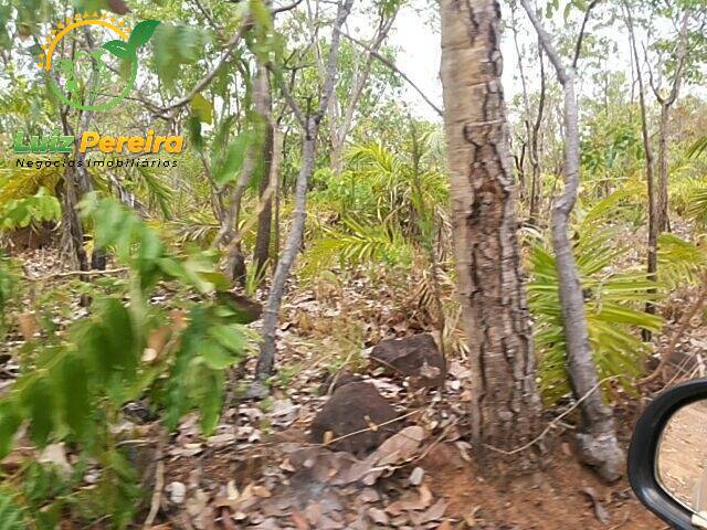 Fazenda para Venda em Monte do Carmo - 5